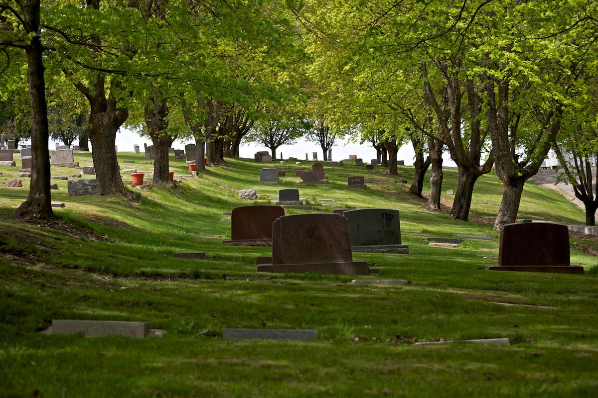 Goldenrod cemetery 2011 neal rantoul 019