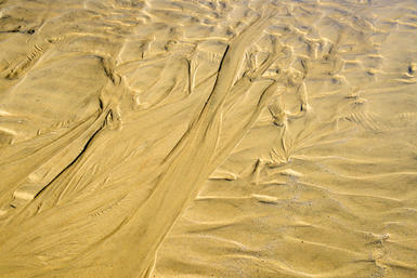 Sand 12