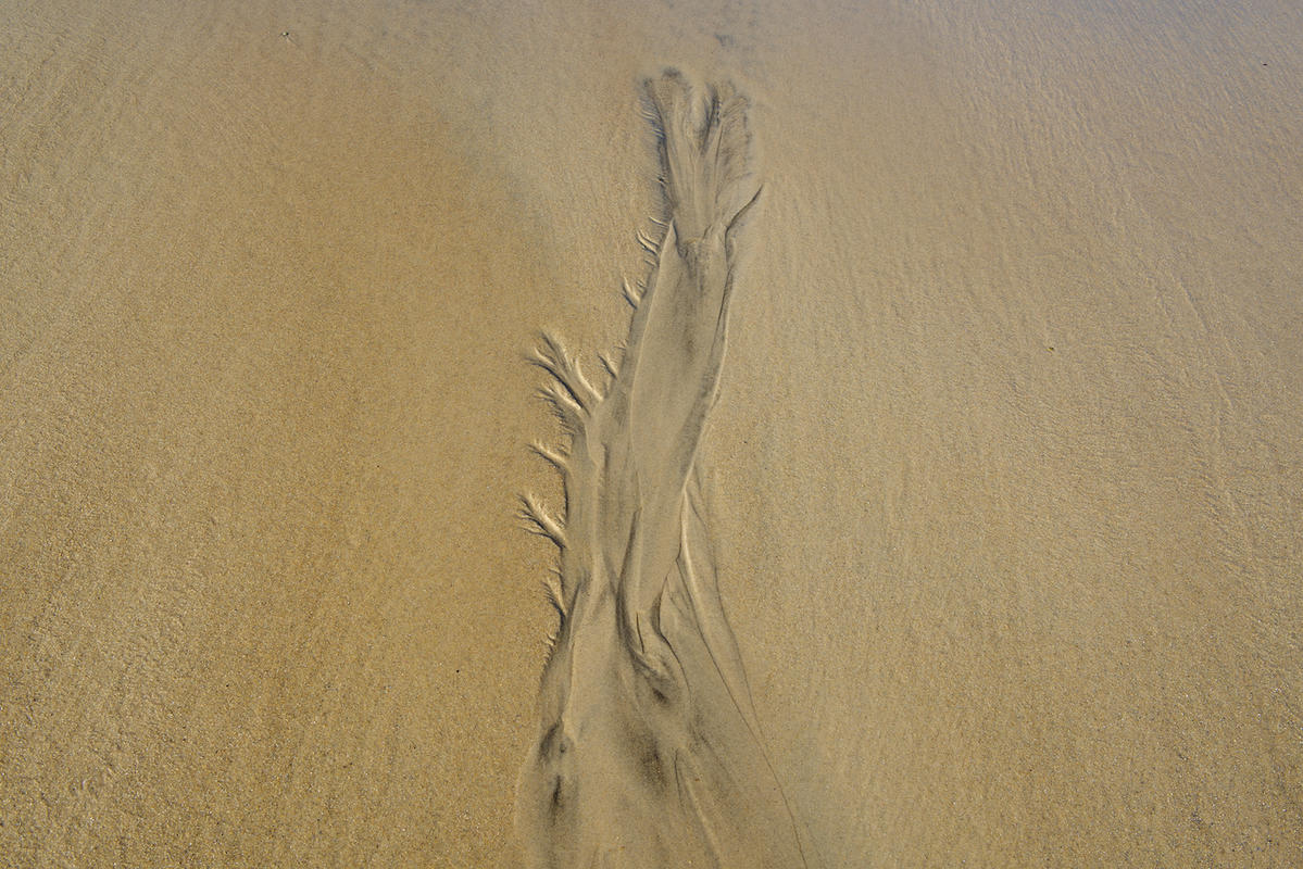 Sand 18